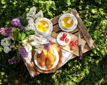 Чай на пикнике: как взять с собой вкус и свежесть