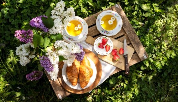 Чай на пикнике: как взять с собой вкус и свежесть